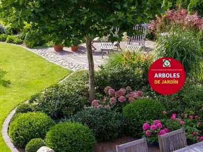 Arboles de Jardín Qué árboles plantar en el jardín