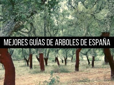 Las Mejores Guías de Arboles de España Las mejores guías de arboles de España que no puede faltar en la biblioteca de cualquier amante de la Botánica: