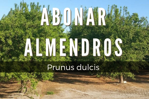 Abonar Almendros en Guia de Arboles y Arbustos Abonar almendros, Prunus dulcis, para lograr las mejores cosecha