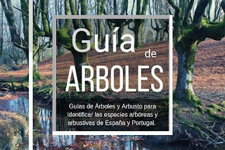 guia arboles